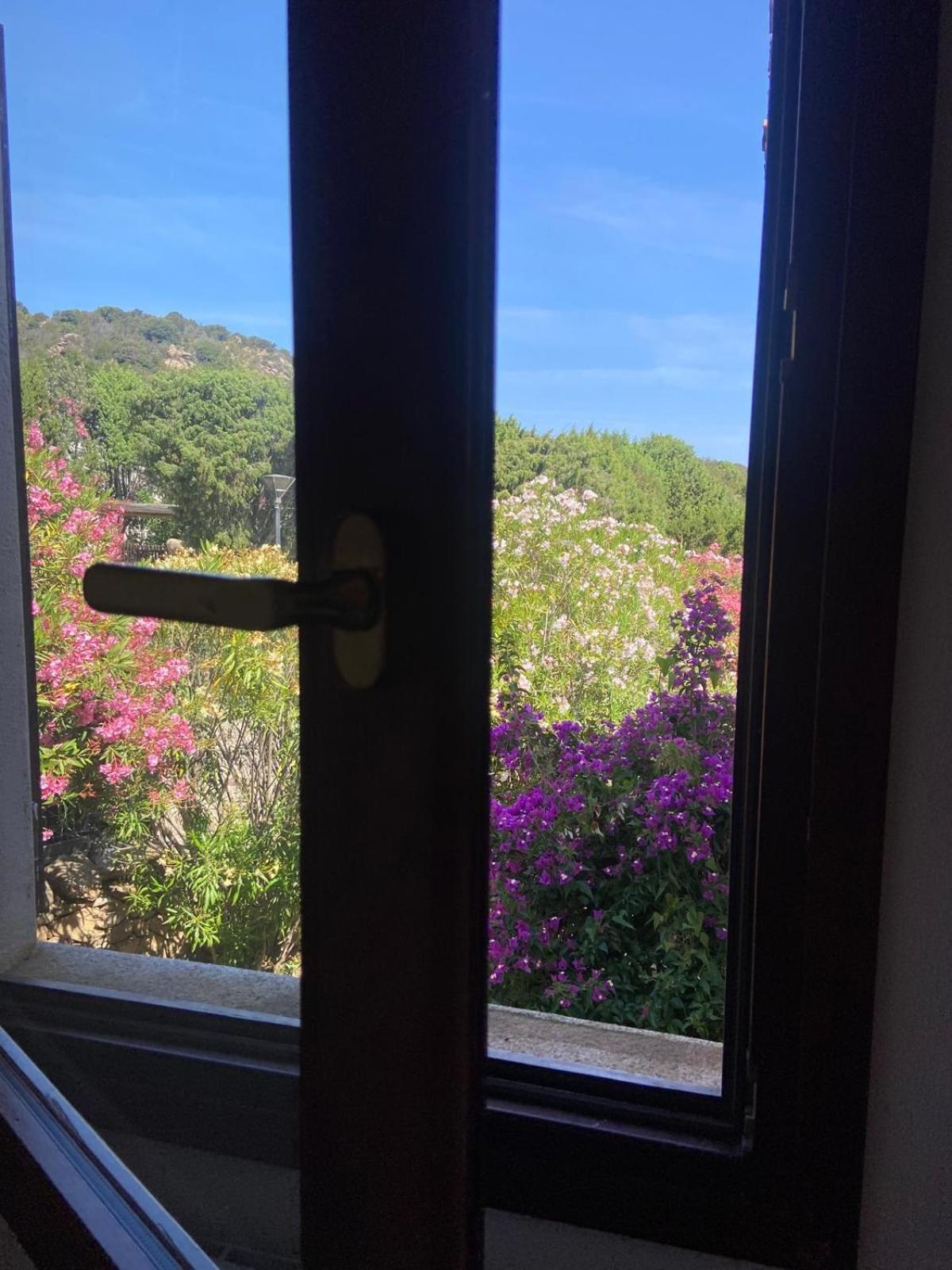 Domus Liscia Di Vacca Aparthotel Luaran gambar