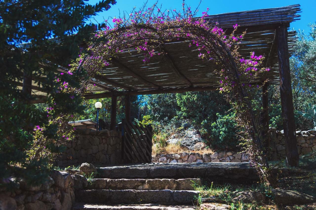 Domus Liscia Di Vacca Aparthotel Luaran gambar